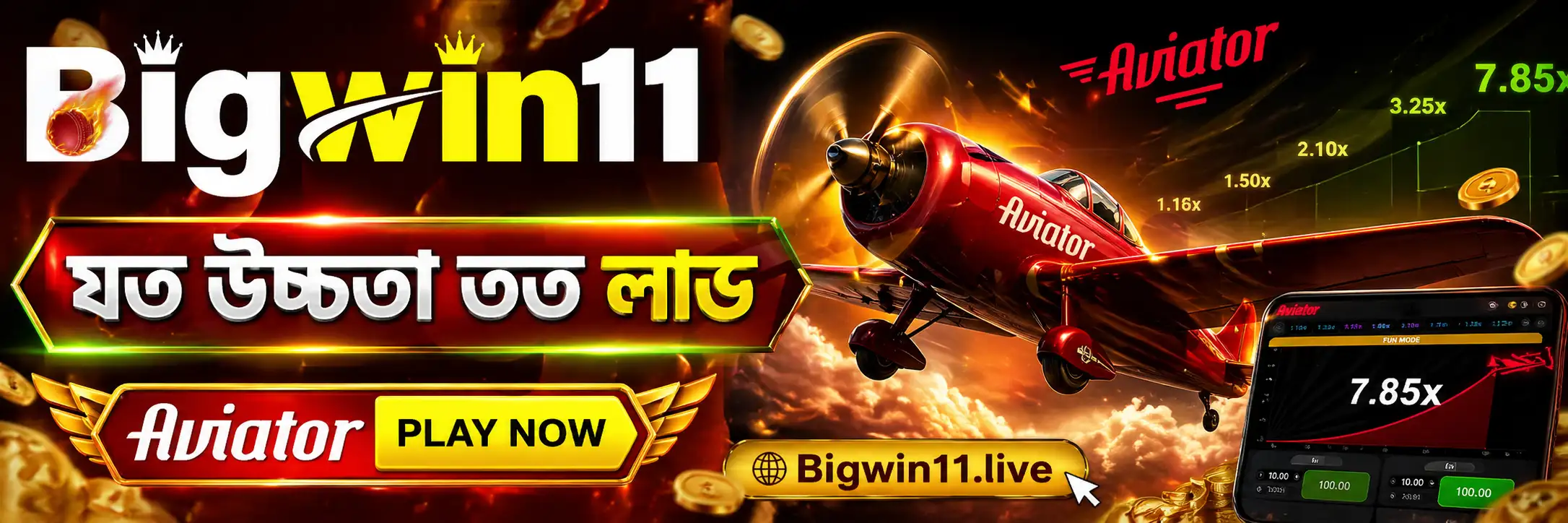 promo banner